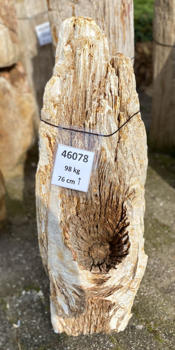 Lápida madera petrificada 46078
