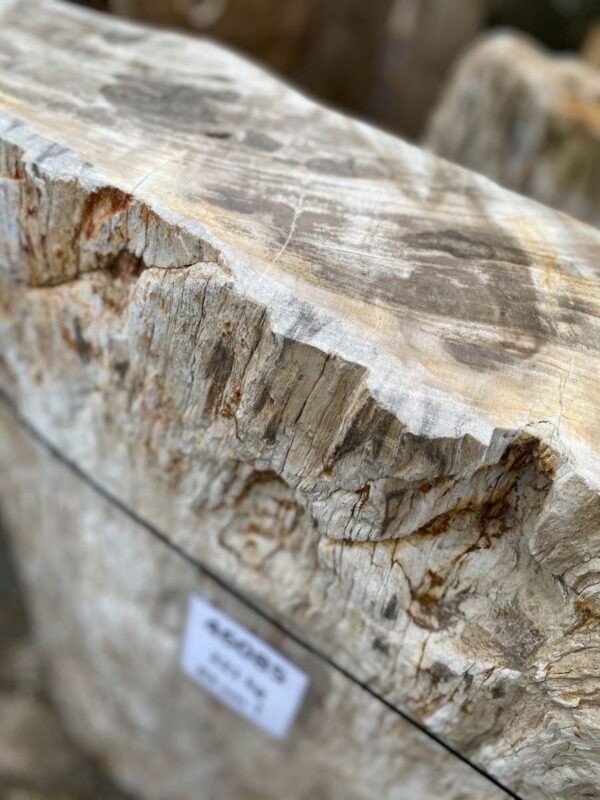 Lápida madera petrificada 46085