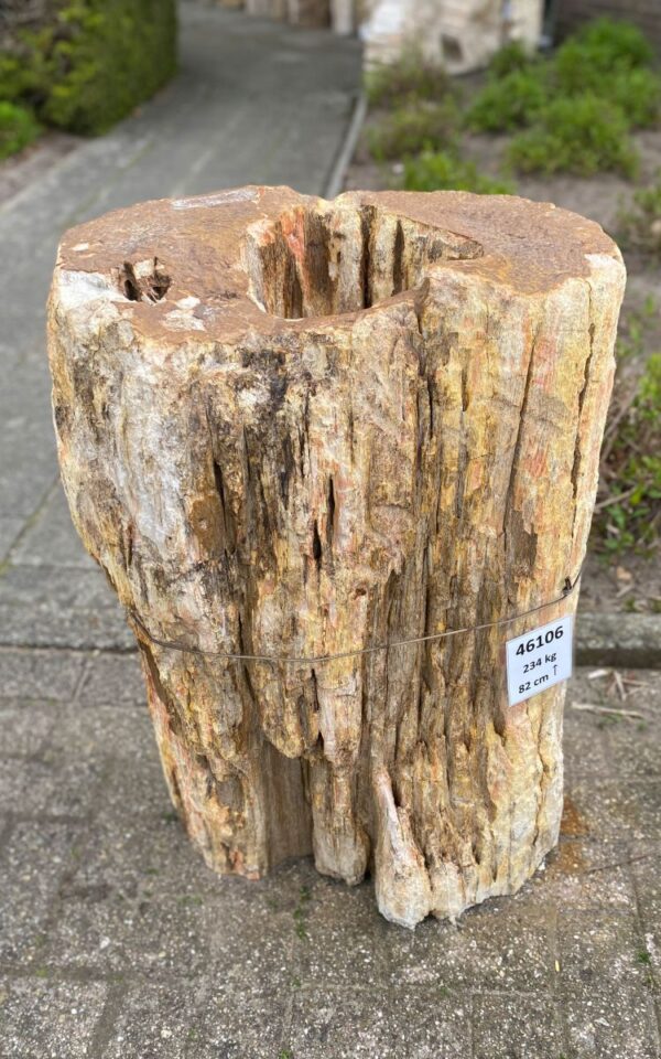 Lápida madera petrificada 46106