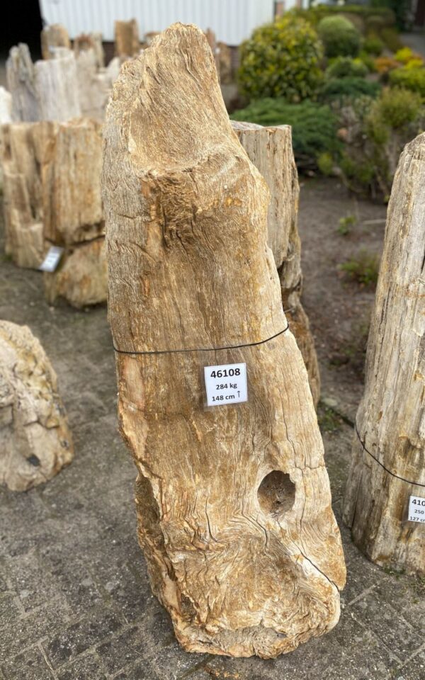 Lápida madera petrificada 46108