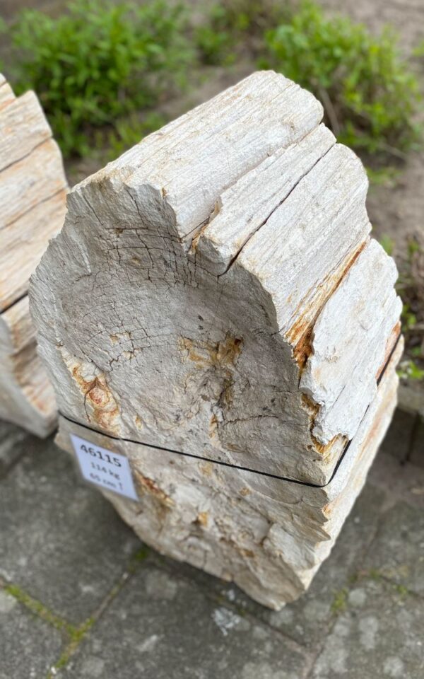 Lápida madera petrificada 46115