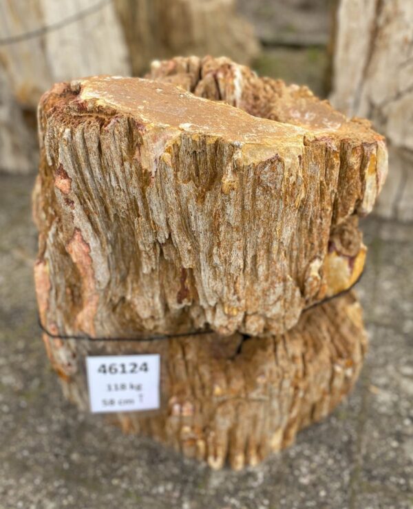 Lápida madera petrificada 46124