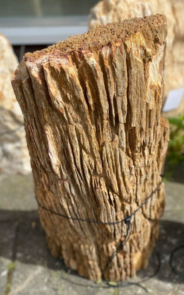 Lápida madera petrificada 46127