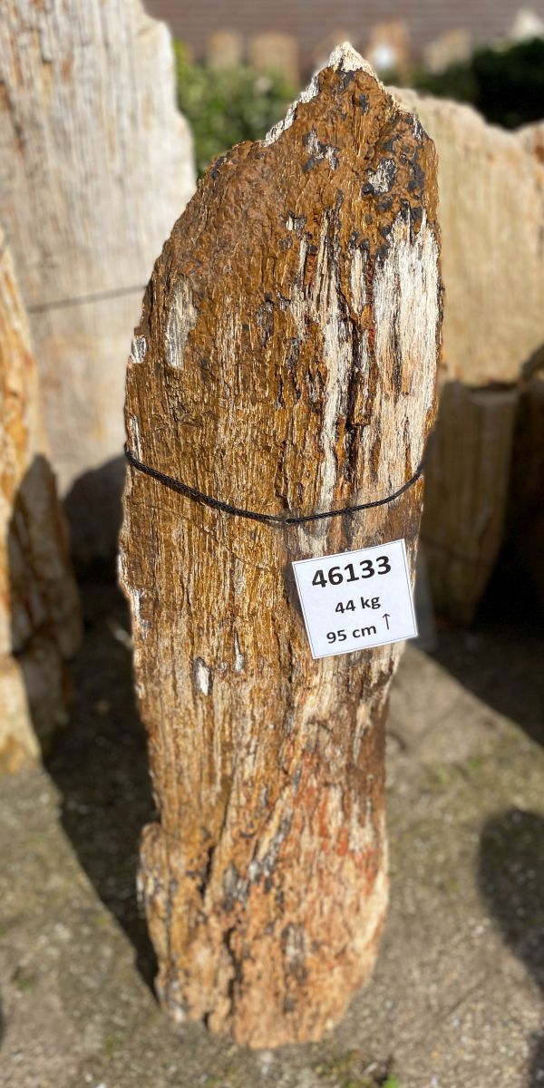 Lápida madera petrificada 46133