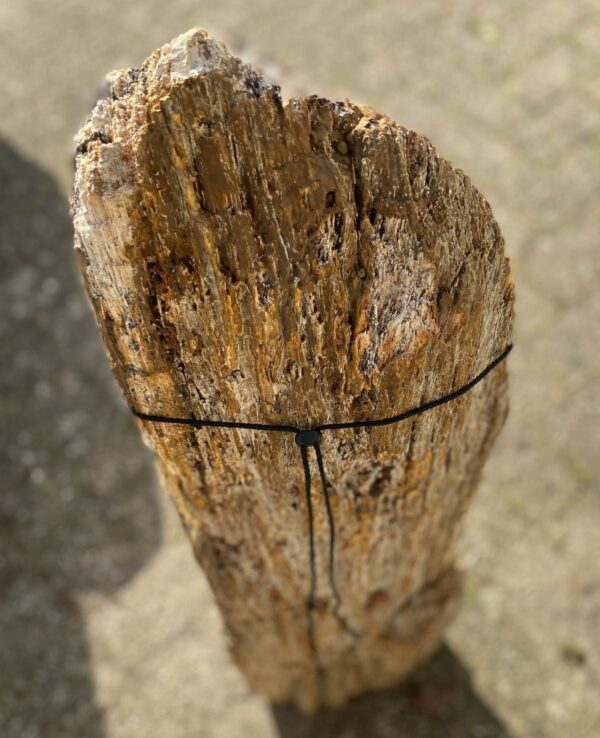 Lápida madera petrificada 46133