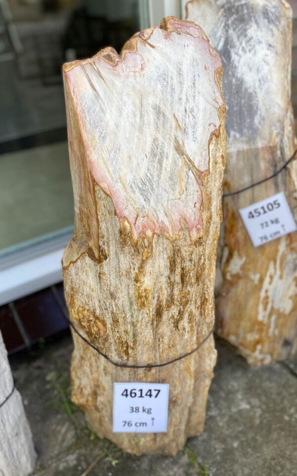 Lápida madera petrificada 46147