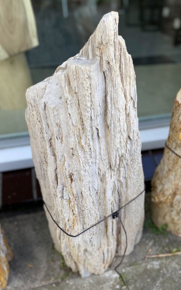 Lápida madera petrificada 46148