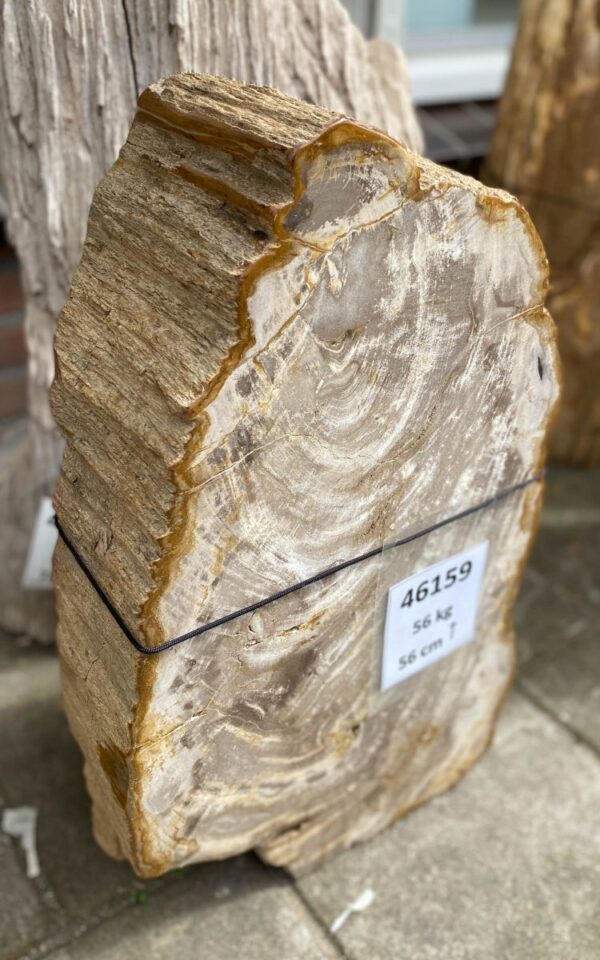 Lápida madera petrificada 46159