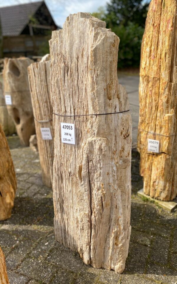 Lápida madera petrificada 47053