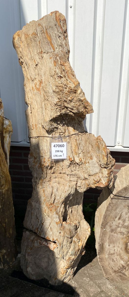 Lápida madera petrificada 47060