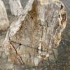 Lápida madera petrificada 47062