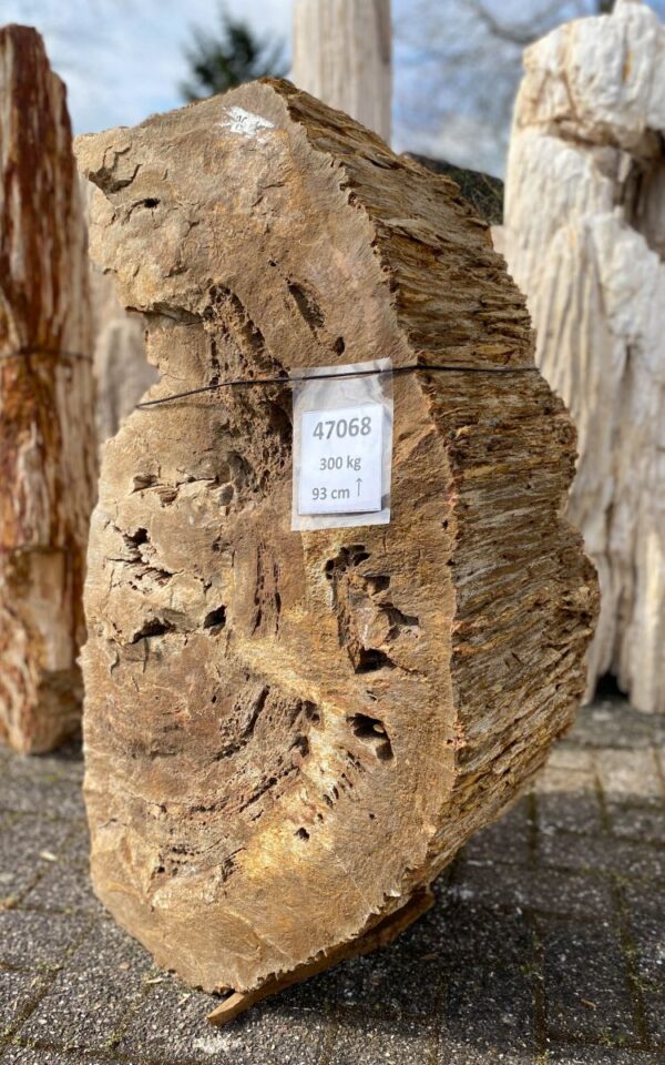 Lápida madera petrificada 47068