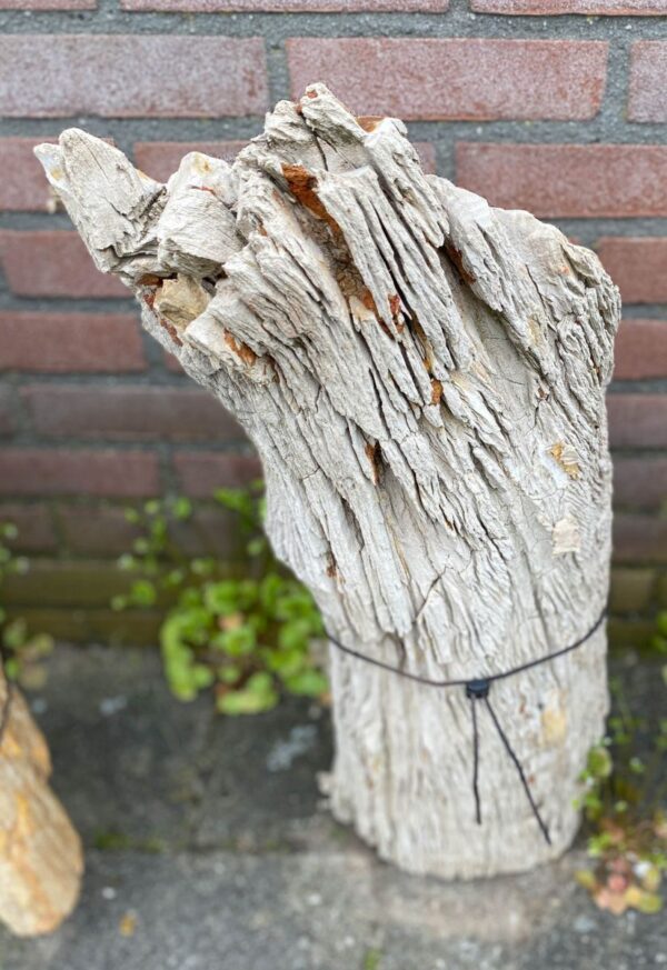 Lápida madera petrificada 47084