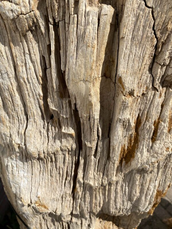Lápida madera petrificada 47088