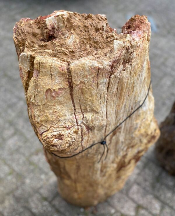 Lápida madera petrificada 47090