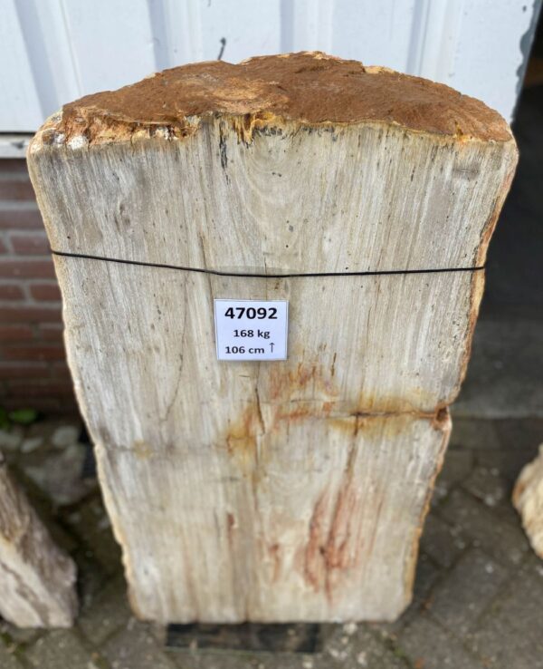 Lápida madera petrificada 47092
