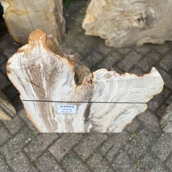 Lápida madera petrificada 47094