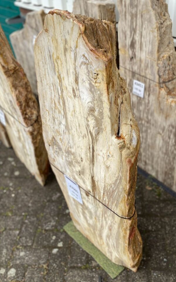 Lápida madera petrificada 47095