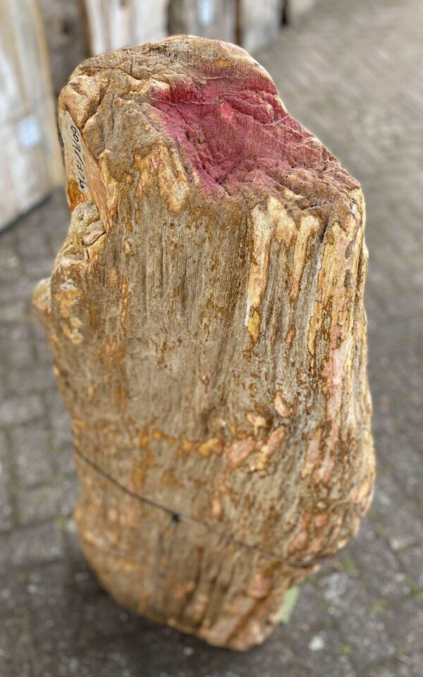 Lápida madera petrificada 47095