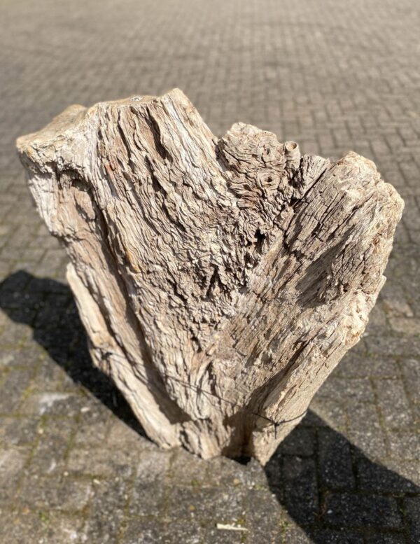 Lápida madera petrificada 47096