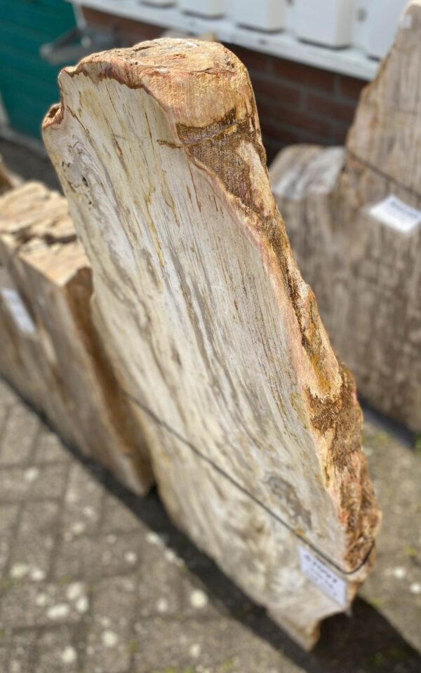 Lápida madera petrificada 47097