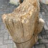 Lápida madera petrificada 47098