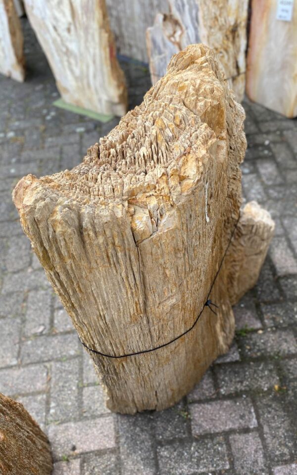 Lápida madera petrificada 47098