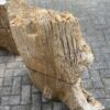 Lápida madera petrificada 47098