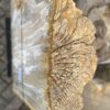Lápida madera petrificada 47098