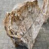 Lápida madera petrificada 47101