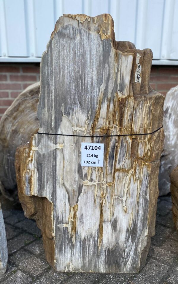 Lápida madera petrificada 47104