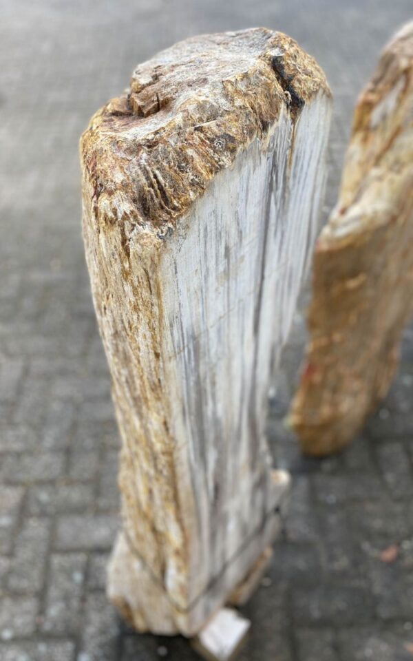 Lápida madera petrificada 47105