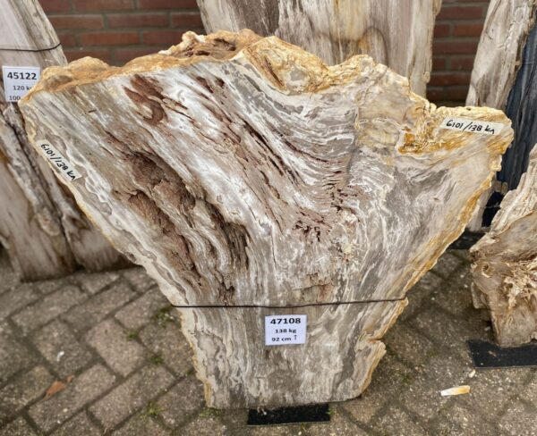 Lápida madera petrificada 47108