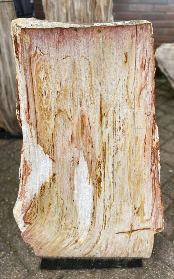 Lápida madera petrificada 47112