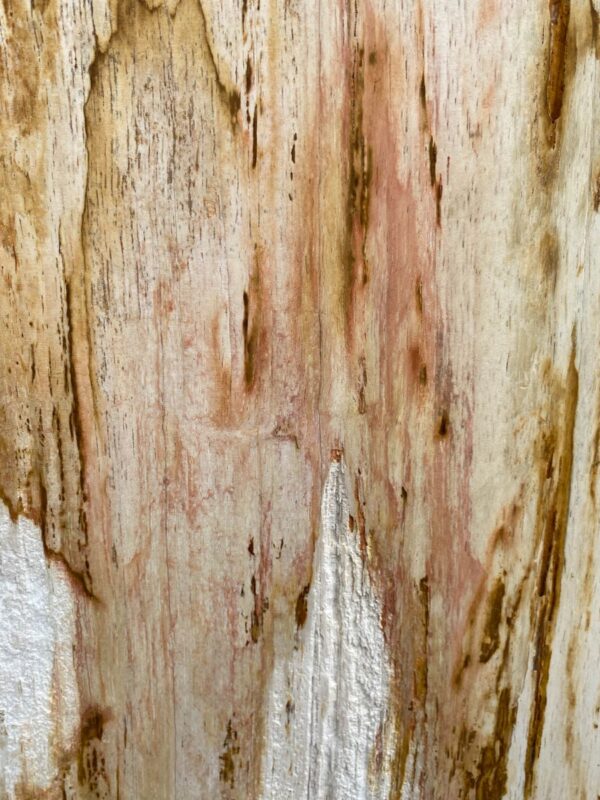 Lápida madera petrificada 47112