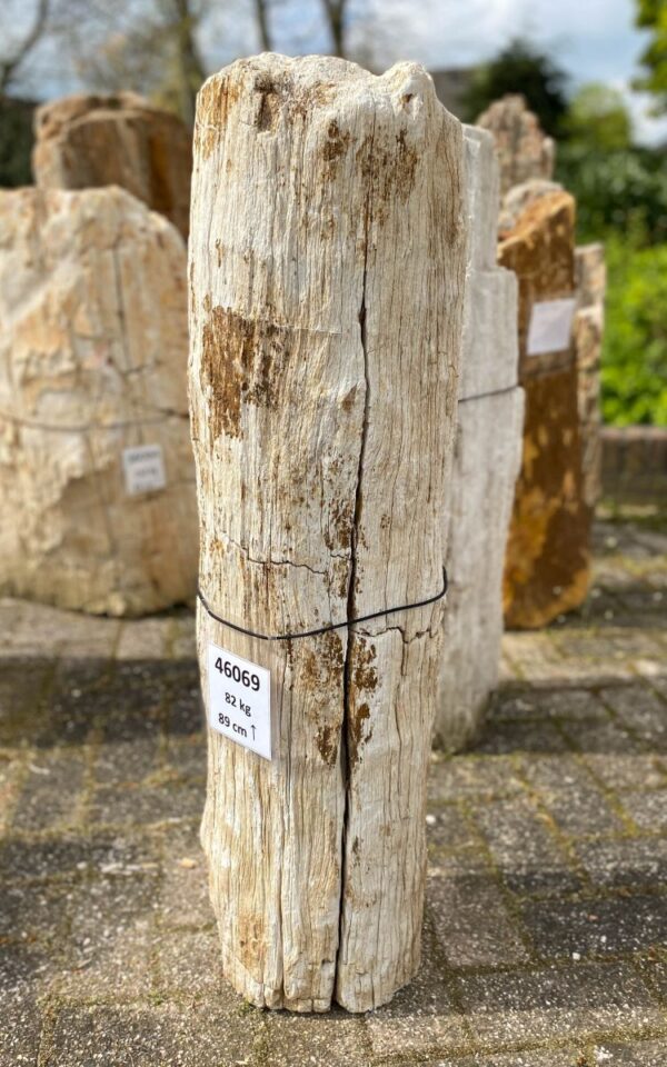 Memorial stone petrified wood 46069