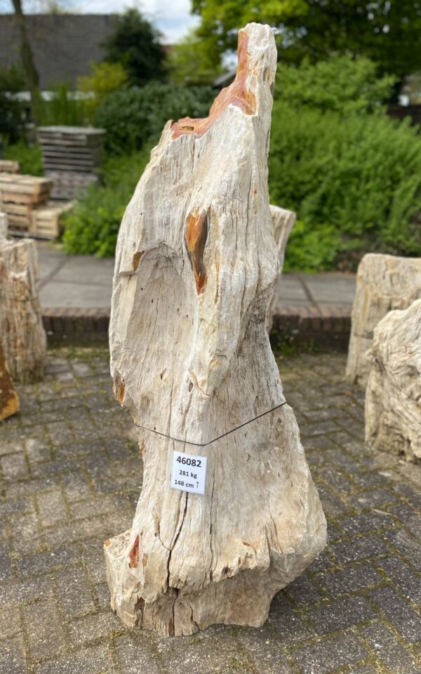 Memorial stone petrified wood 46082