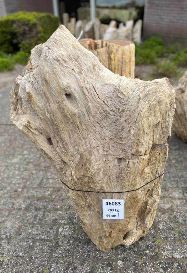 Memorial stone petrified wood 46083