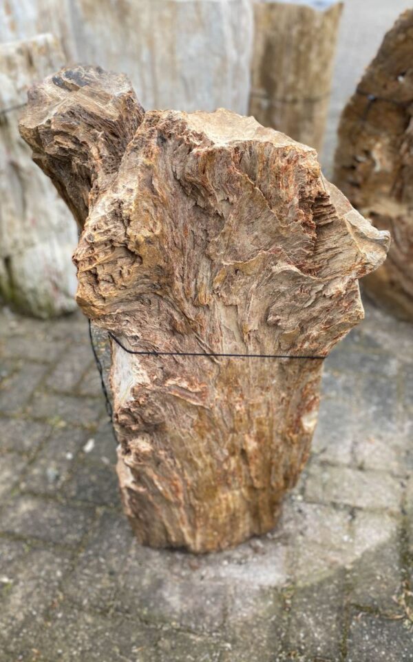 Memorial stone petrified wood 46114