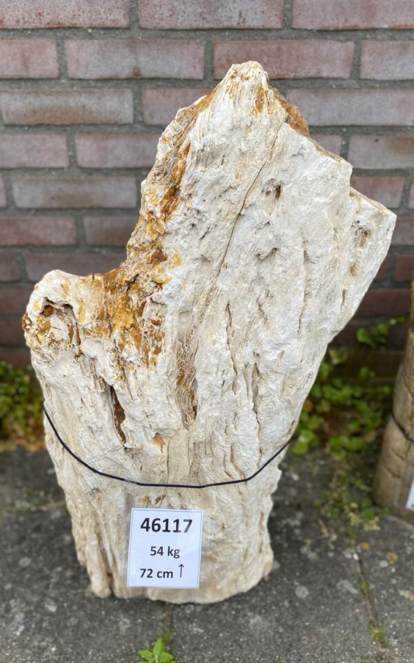 Memorial stone petrified wood 46117