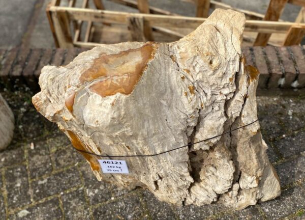 Memorial stone petrified wood 46121