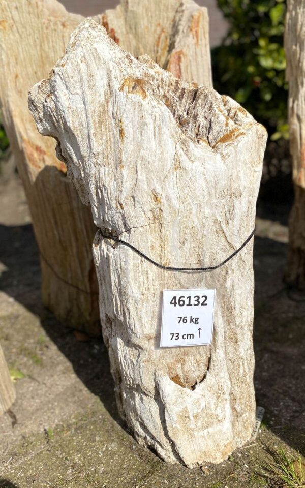 Memorial stone petrified wood 46132
