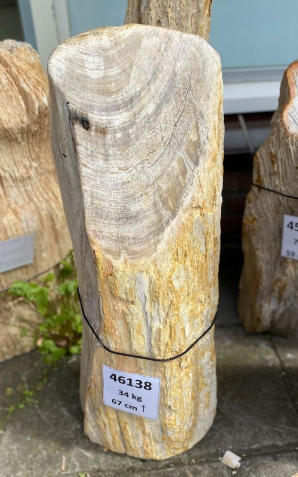 Memorial stone petrified wood 46138