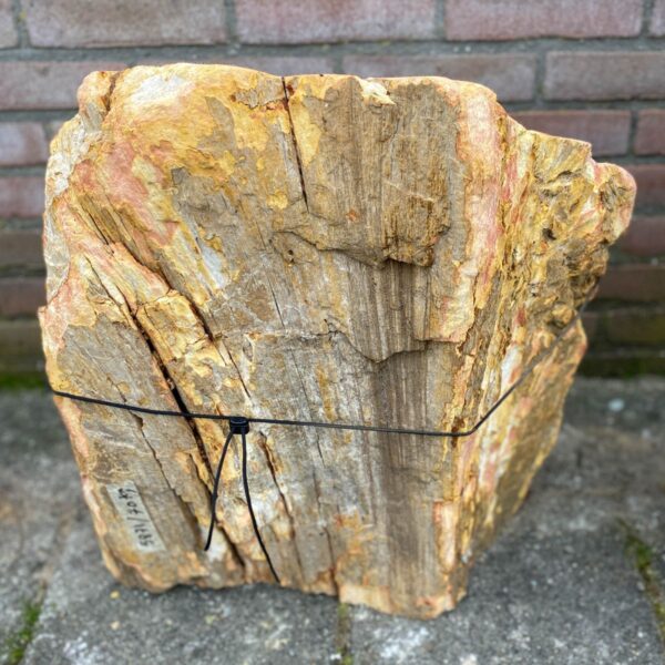 Memorial stone petrified wood 46139