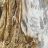 Memorial stone petrified wood 46141