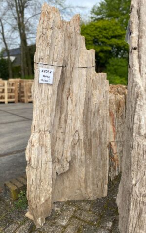 Memorial stone petrified wood 47057