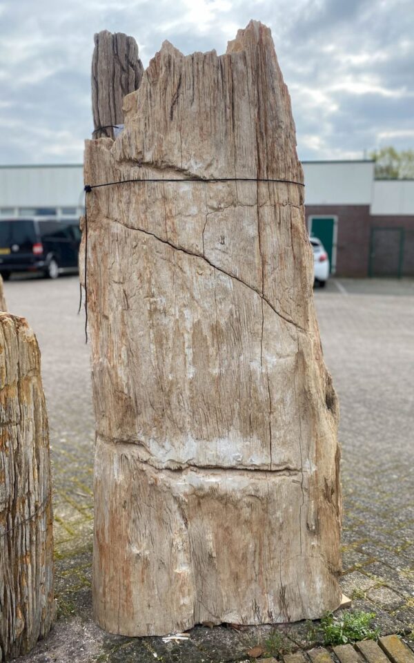 Memorial stone petrified wood 47057