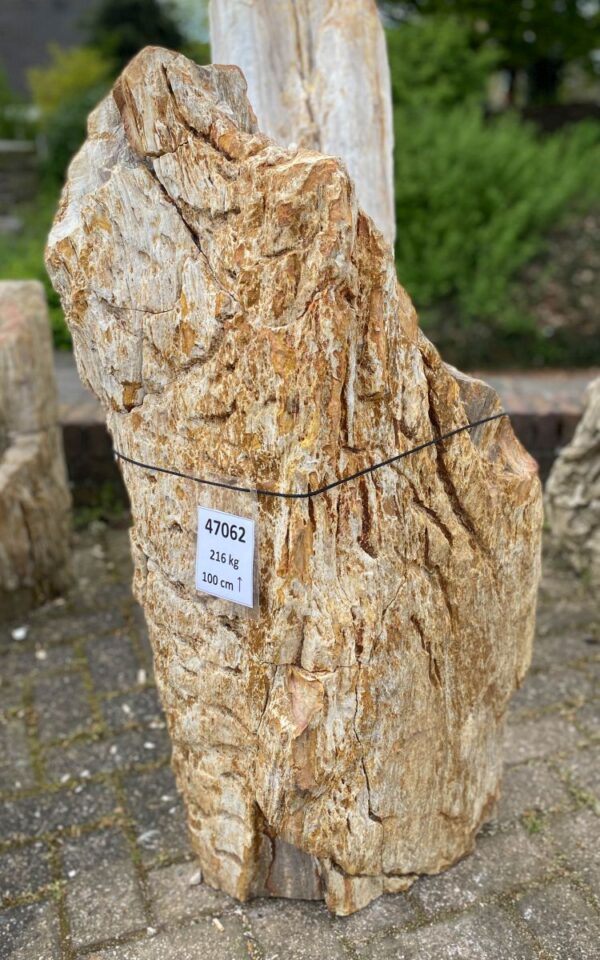 Memorial stone petrified wood 47062