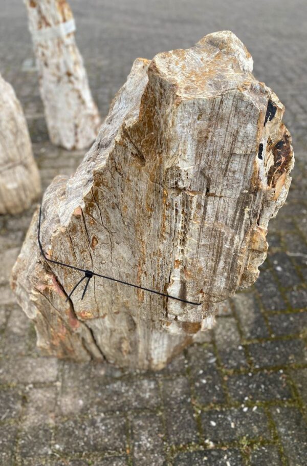 Memorial stone petrified wood 47062