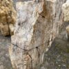 Memorial stone petrified wood 47062